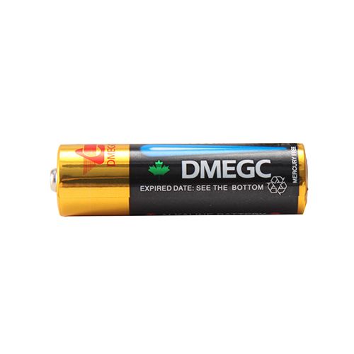 Disagreement Unrelenting cinema AA LR6 Alkaline Battery - DMEGC